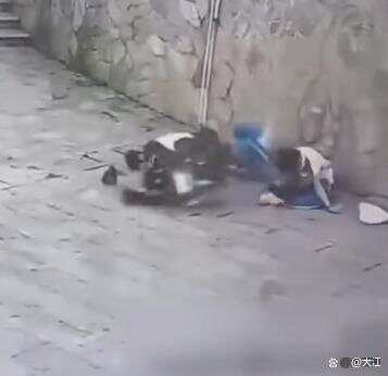 皇冠信用网代理注册 _湖南两高中生骑电动车撞围墙身亡皇冠信用网代理注册 ，两人均未佩戴安全头盔 家属称系改装车，最高时速100公里