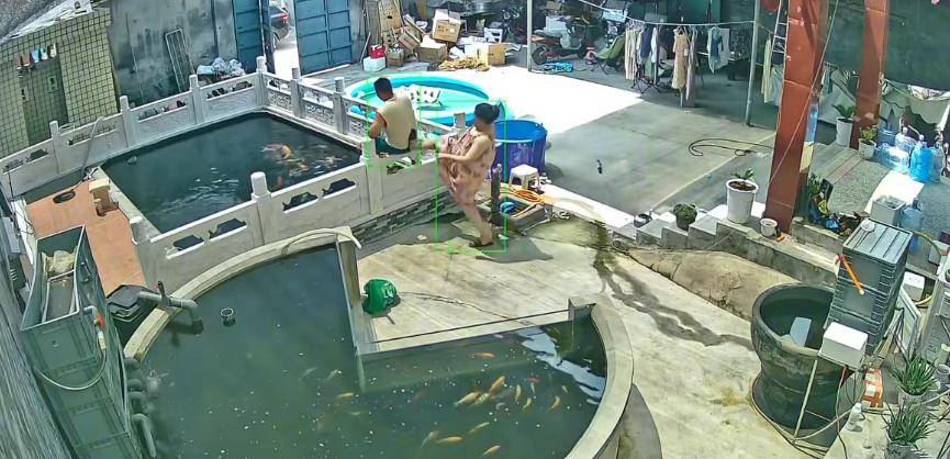 怎么申请皇冠信用网_新乡一男子喂鱼忘送娃上课被妻子踹进鱼池：妻子怀孕脾气有时候控制不住怎么申请皇冠信用网，互相道了歉