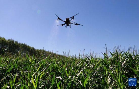 皇冠信用开户
_立秋农事正当忙