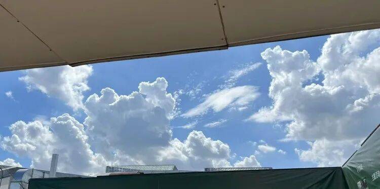 皇冠信用网代理流程_上海又热成全国第一！网友连呼“回到黄梅天”皇冠信用网代理流程，还要热多久？