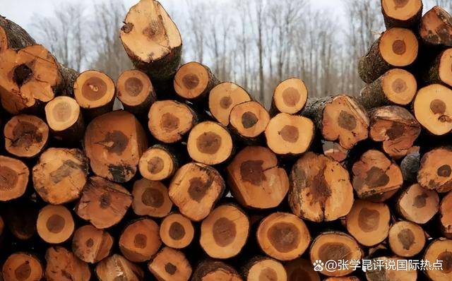 Hga050_48小时内Hga050，中方连下3令，特朗普别高兴太早，承诺一个都不能少